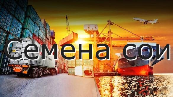 Семена сои